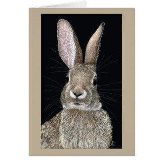 Cottontail Rabbit Card OBS Kort