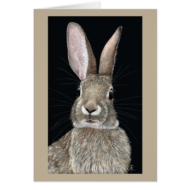 Cottontail Rabbit Card OBS Kort (Framsidan)
