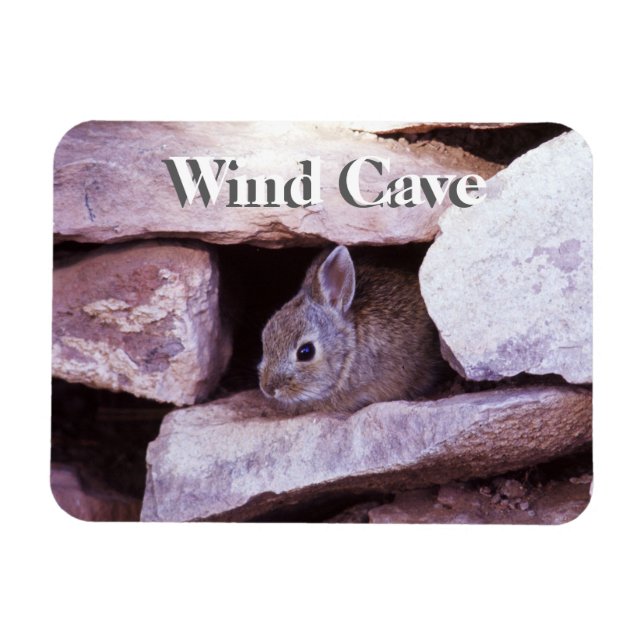 Cottontail Rabbit i Sten Vind Cave NP Magnet (Horisontell)