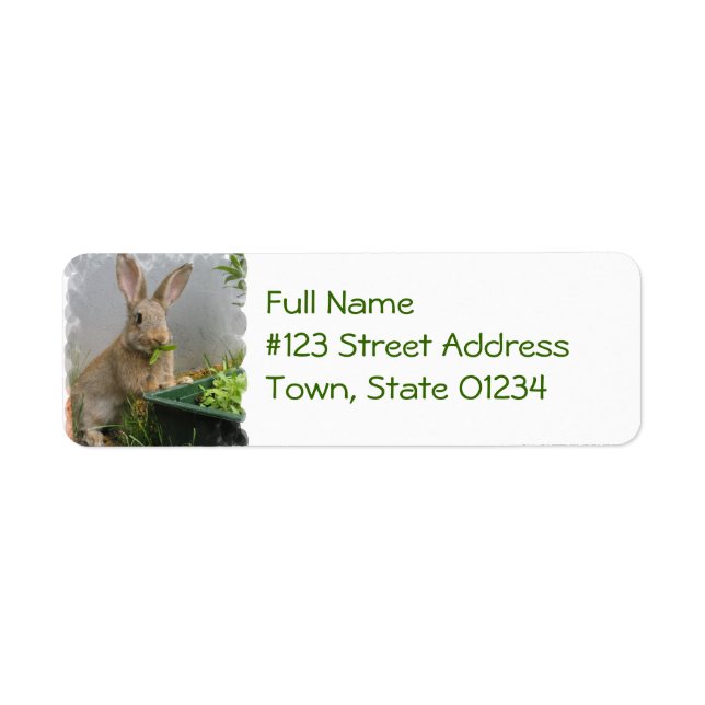 Cottontail Rabbit-mejseletiketter Returadress Etikett (Framsidan)