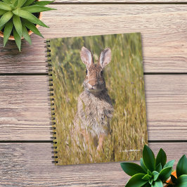 Cottontail Rabbit, Nyfiken och grå Östra Anteckningsbok