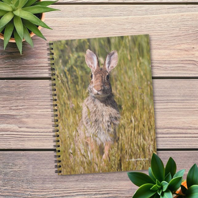 Cottontail Rabbit, Nyfiken och grå Östra Anteckningsbok (Ears to You Eastern Cottontail Rabbit Journal Cover Photo)