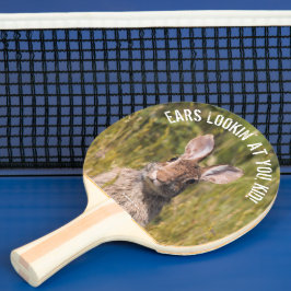 Cottontail Rabbit, Nyfiken och grå Östra Pingisracket