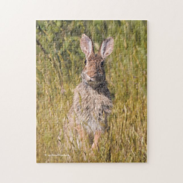 Cottontail Rabbit, Nyfiken och grå Östra Pussel (Vertikal)