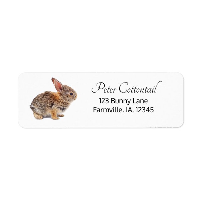 Cottontail Rabbit Returadress Returadress Etikett (Framsidan)
