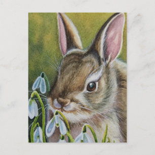 Cottontail Rabbit & Snowdroits Watercolor Art Vykort