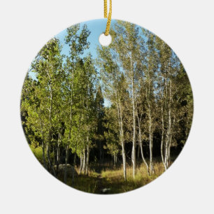 Cottonwood Along Moose Ponds Trail vid Grand Teton Julgransprydnad Keramik