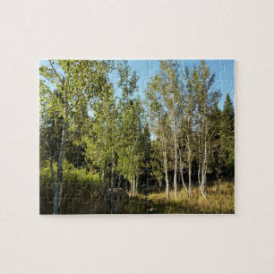 Cottonwood Along Moose Ponds Trail vid Grand Teton Pussel