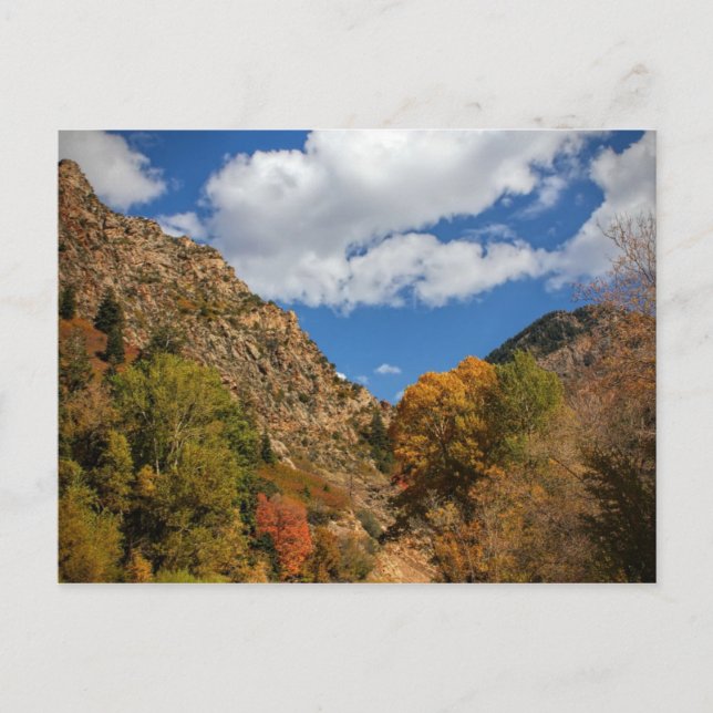 Cottonwood Canyon Scenia Byway Autumn i Utah Vykort (Framsida)