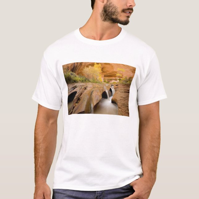 Cottonwood på hösten, Coyote Gulch, Glen Tee Shirt (Framsida)
