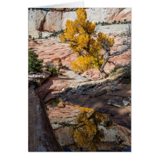 Cottonwood Träd på Höst färger Hälsningskort