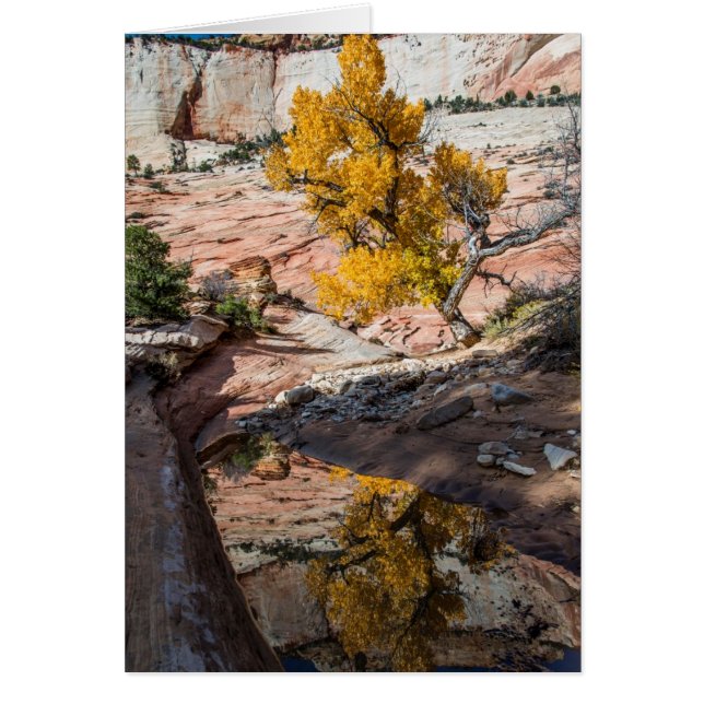 Cottonwood Träd på Höst färger Hälsningskort (Framsidan)