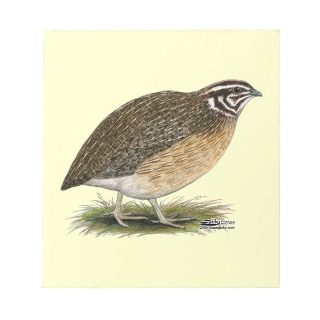 Coturnix Pharaoh Quail Anteckningsblock (Framsida)