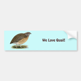 Coturnix Pharaoh Quail Bildekal