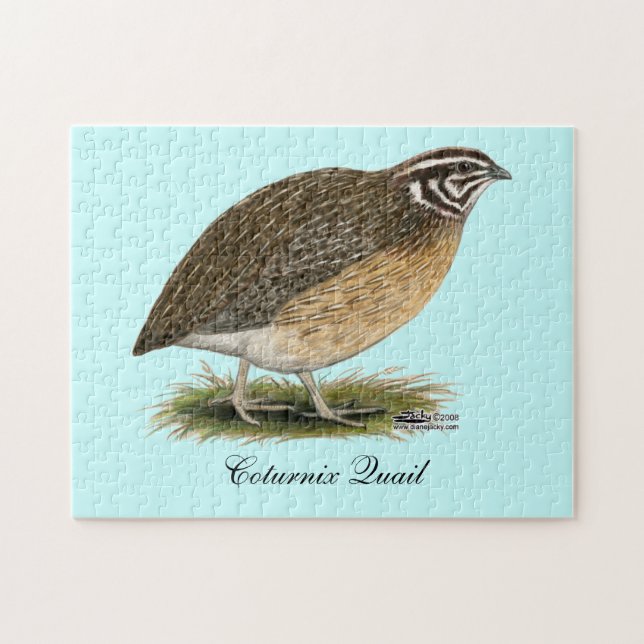 Coturnix Pharaoh Quail Pussel (Horisontell)