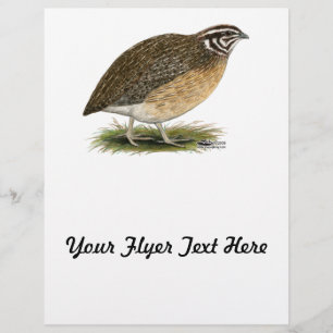 Coturnix Pharaoh Quail Reklamblad