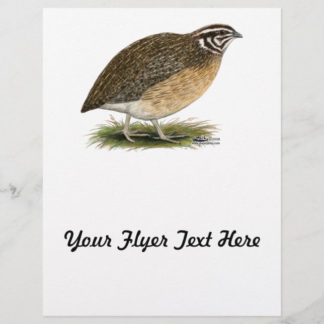 Coturnix Pharaoh Quail Reklamblad (Framsidan)