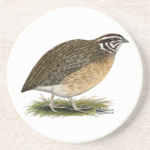 Coturnix Pharaoh Quail Underlägg