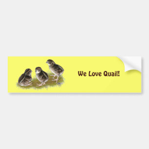 Coturnix Quail-Chickar Bildekal