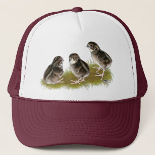 Coturnix Quail-Chickar Truckerkeps