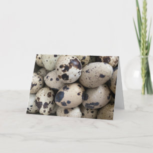 Coturnix Quail Egg Kort