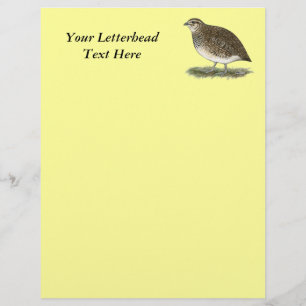 Coturnix Quail Hen