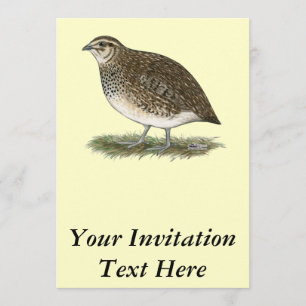 Coturnix Quail Hen Inbjudningar