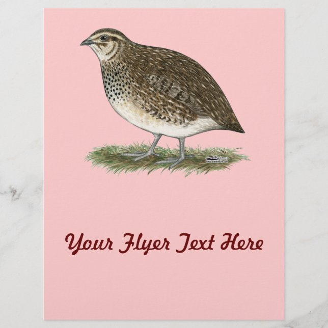 Coturnix Quail Hen Reklamblad (Framsidan)