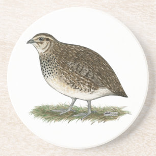 Coturnix Quail Hen Underlägg Sandsten
