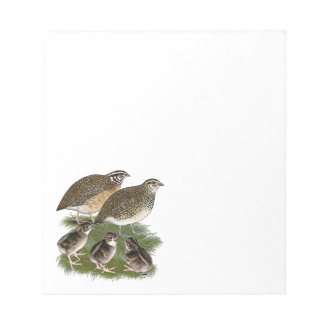 Coturnix Vaktelfamilj Anteckningsblock (Framsida)