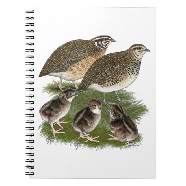 Coturnix Vaktelfamilj Anteckningsbok Med Spiral (Framsidan)