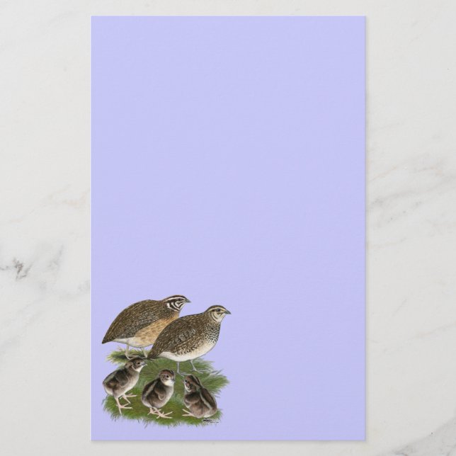 Coturnix Vaktelfamilj Brevpapper (Framsida)