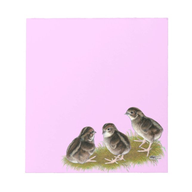 Coturnix-vaktelkycklingar Anteckningsblock (Framsida)