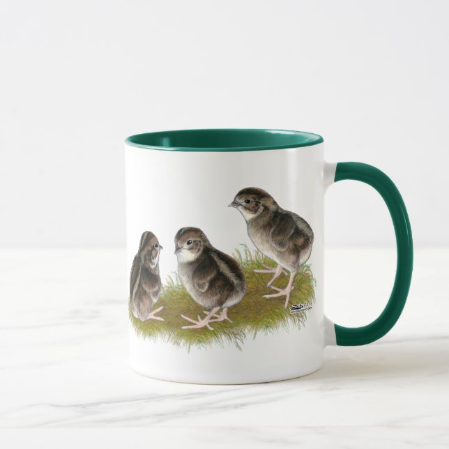 Coturnix-vaktelkycklingar Mugg (Höger)