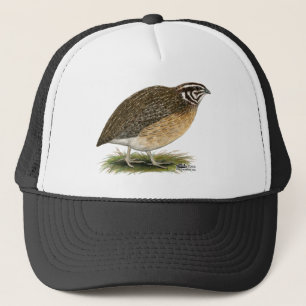 CoturnixPharaohQuail Keps