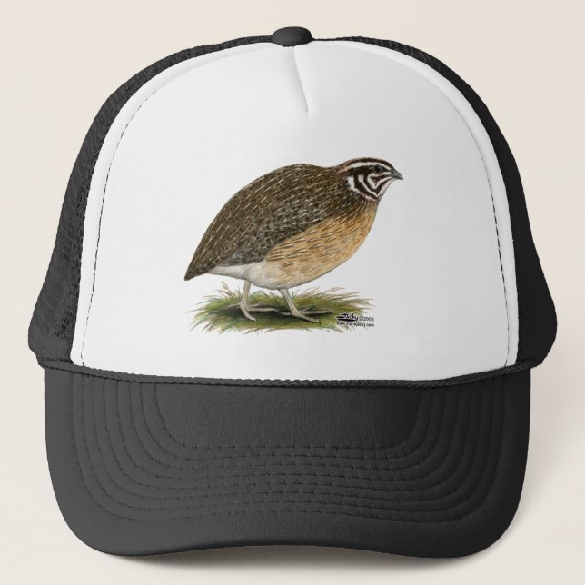 CoturnixPharaohQuail Keps (Framsida)