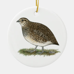 CoturnixQuailhöna Julgransprydnad Keramik