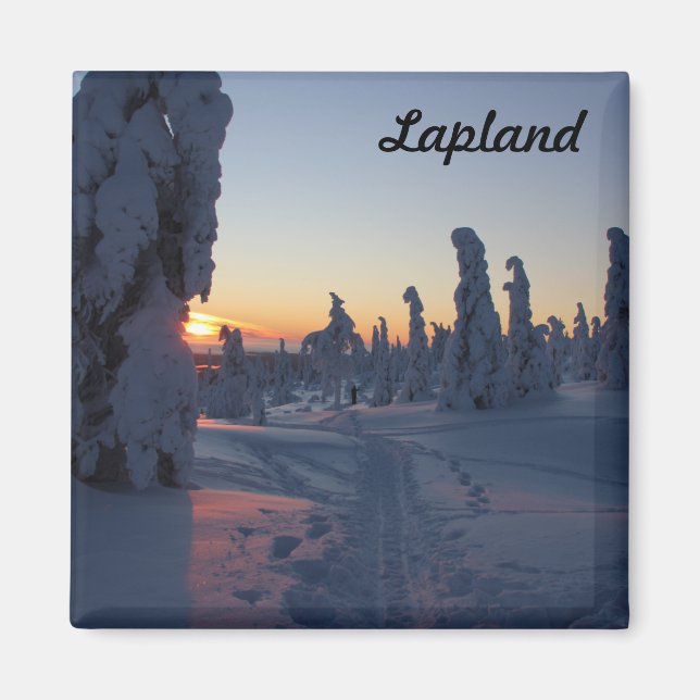 Couché de soleil sur la forêt en Laponie Magnet (Framsidan)