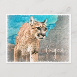 Cougar ポストカード vykort