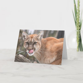 Cougar Big Cat Notecard Kort