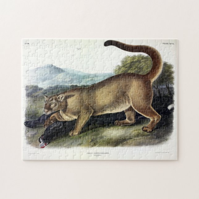 Cougar eller Puma, Panther, Mountain Lejon, Catamo Pussel (Horisontell)