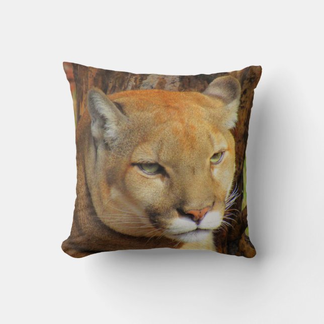 Cougar/Florida Panther/Mountain Lejon - Pillow Kudde (Framsida)