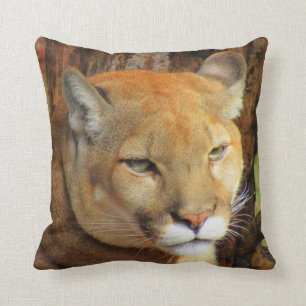 Cougar/Florida Panther/Mountain Lejon - Pillow Kudde
