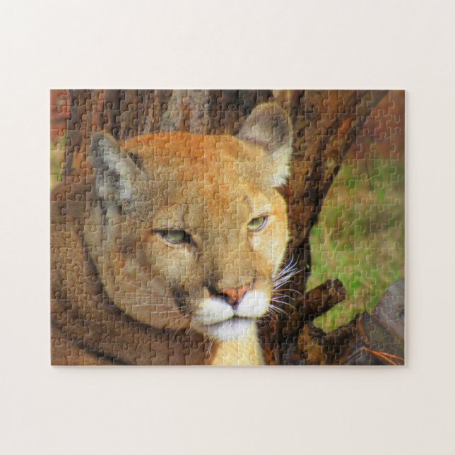 Cougar - Florida Panther Puzzle Pussel (Horisontell)
