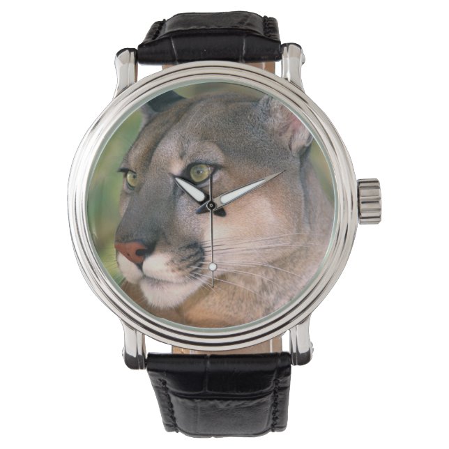 Cougar, Kalifornien Armbandsur (Framsida)