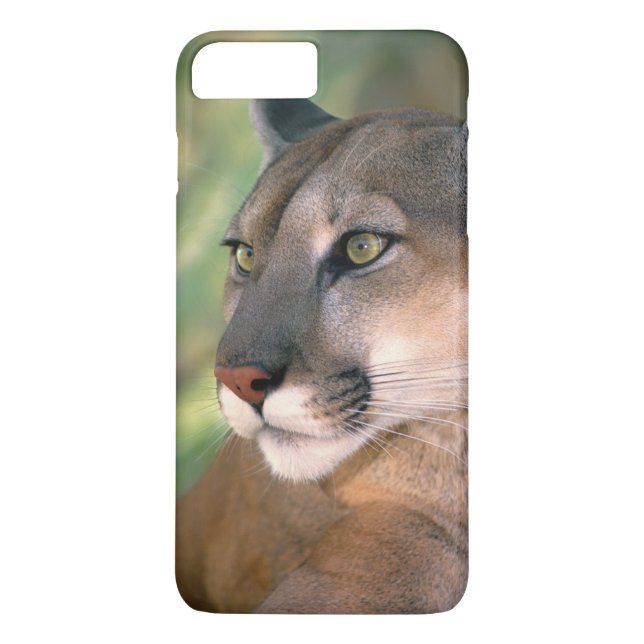 Cougar, Kalifornien Case-Mate iPhone Skal (Baksida)