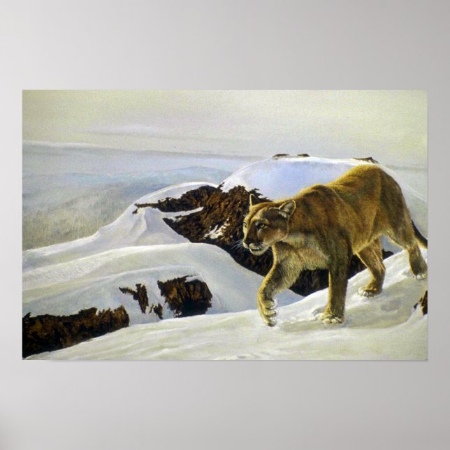 Cougar land poster (Framsidan)