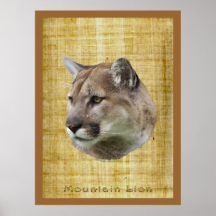 COUGAR, MOUNTAIN LEJON, PUMA Poster
