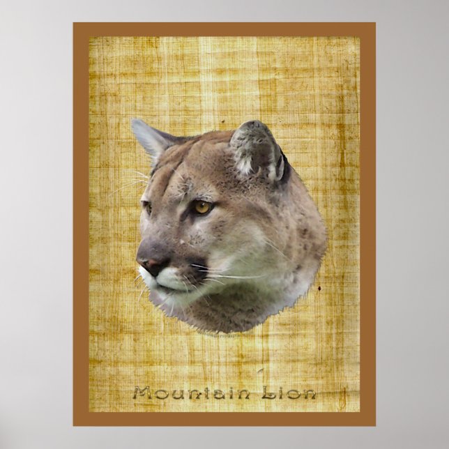 COUGAR, MOUNTAIN LEJON, PUMA Poster (Framsidan)
