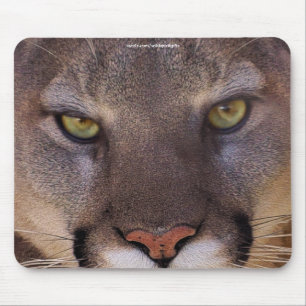 COUGAR Mountain Lejon Wildlife Mousepad Musmatta
